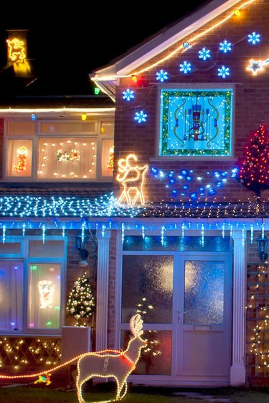 Twinkling Warm White Christmas Lights™