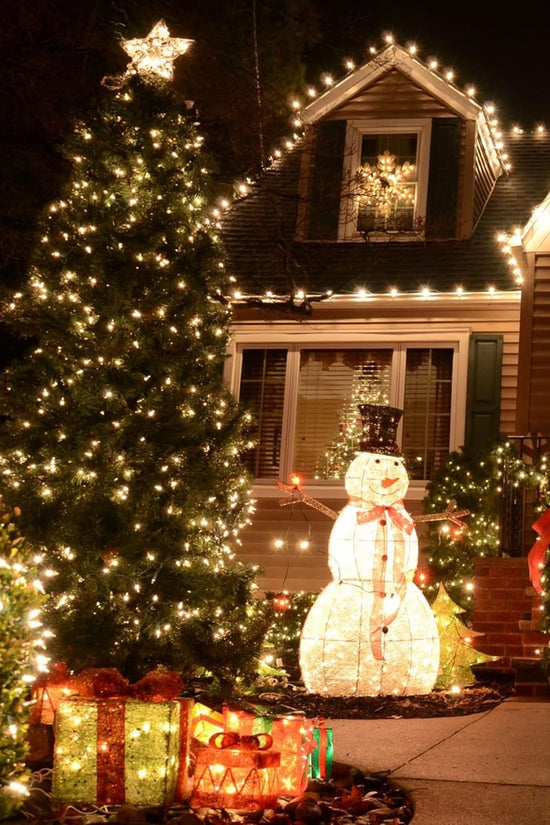 Twinkling Warm White Christmas Lights™